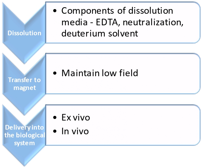 Preserving polarization from dissolution to delivery into biological system