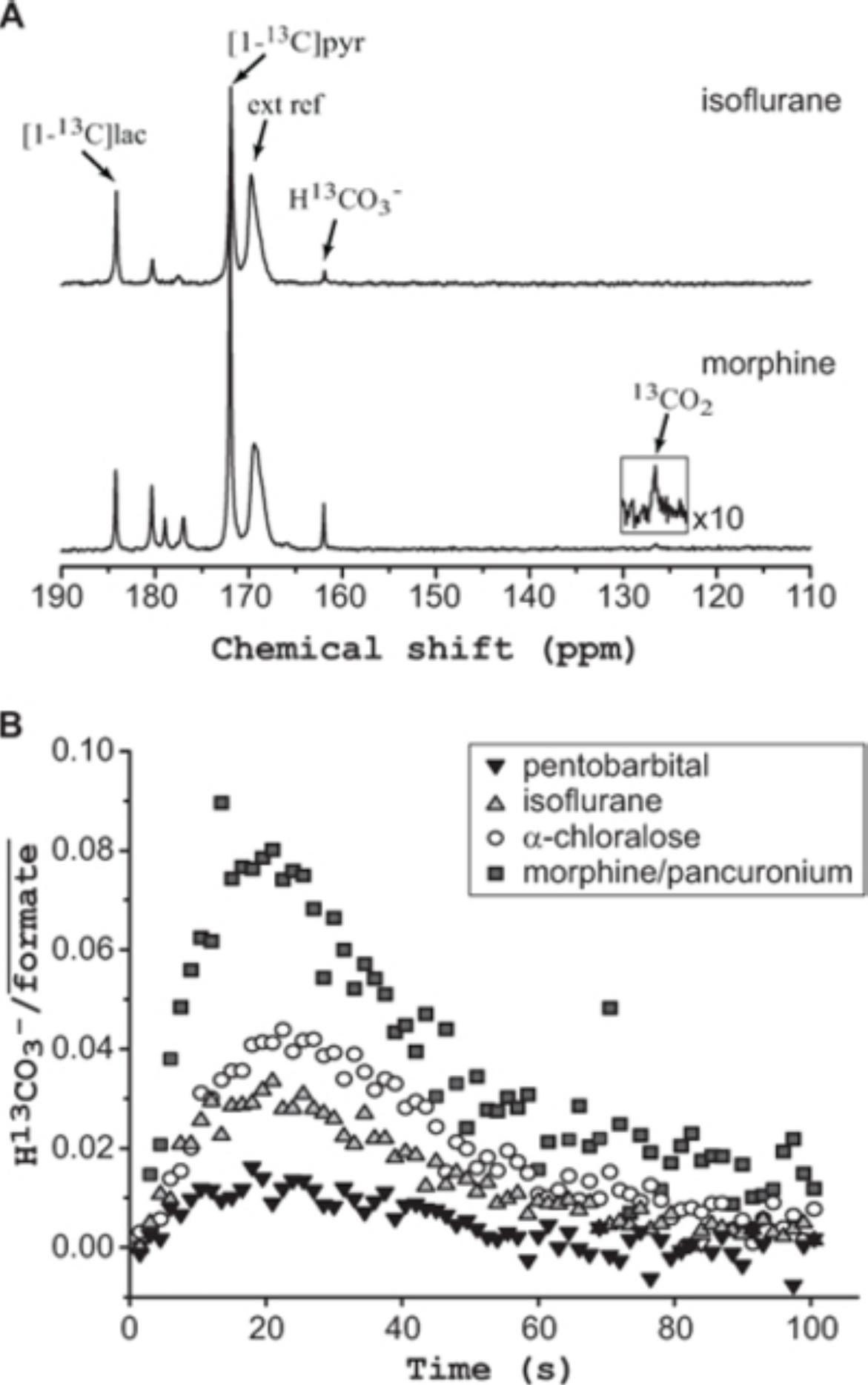 Effects of Anesthetic agents on rodent brain metabolism of HP [1-13C]pyruvate