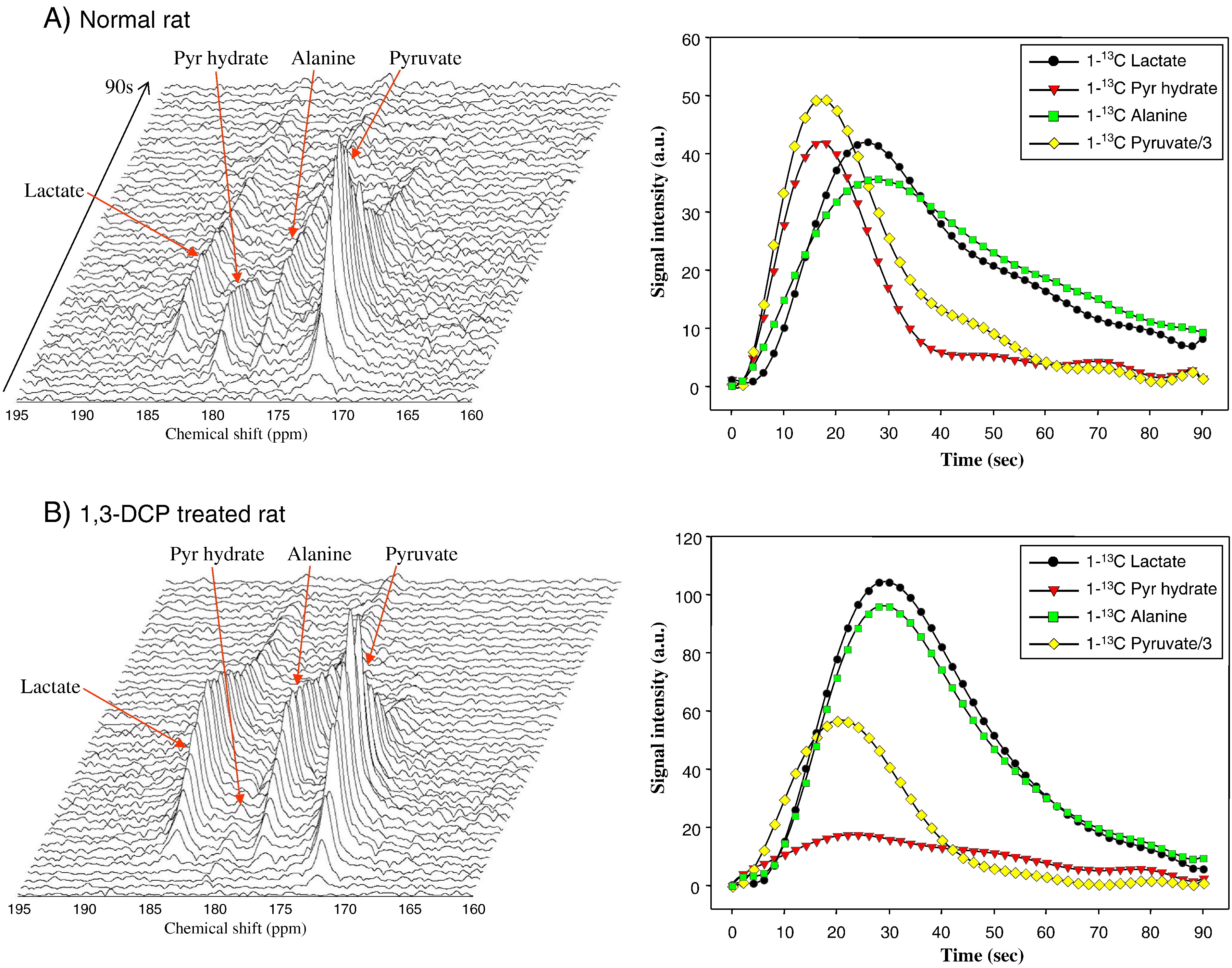 Hyperpolarized 13C MRI of liver from a rat treated with hepatotoxic agent 1,3-DCP