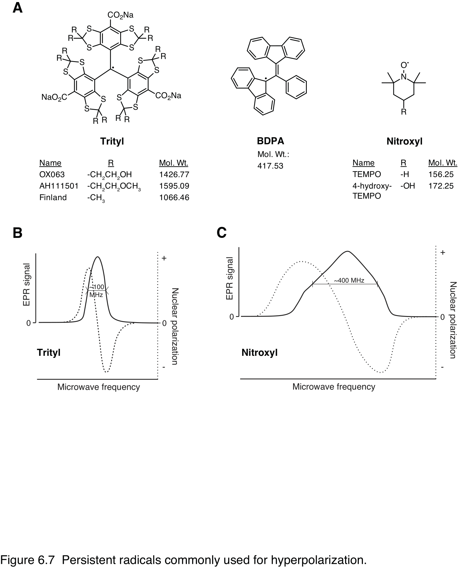 Figure 7: Persistent radicals commonly used for hyperpolarization.