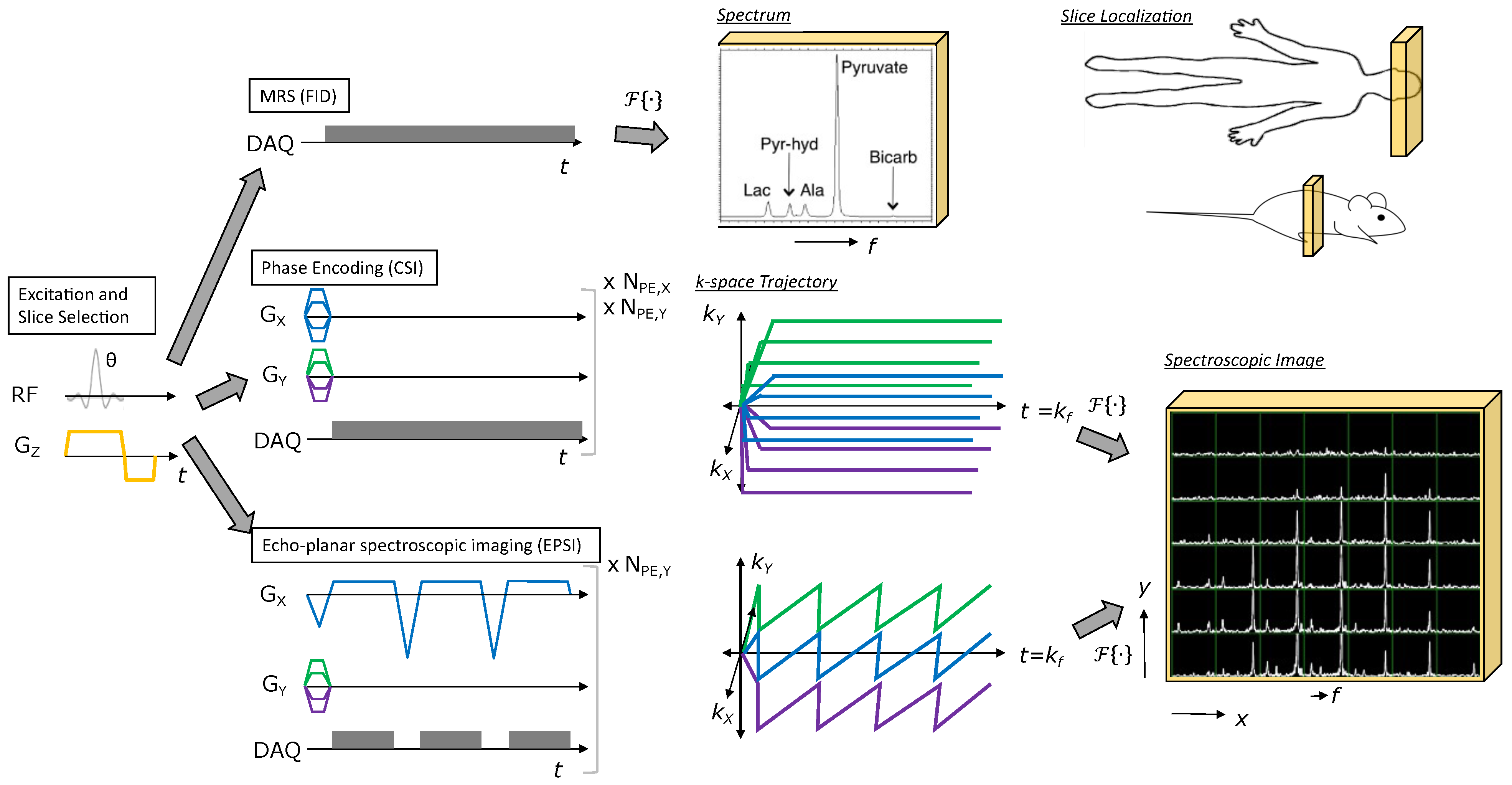 MRSI methods for HP agents