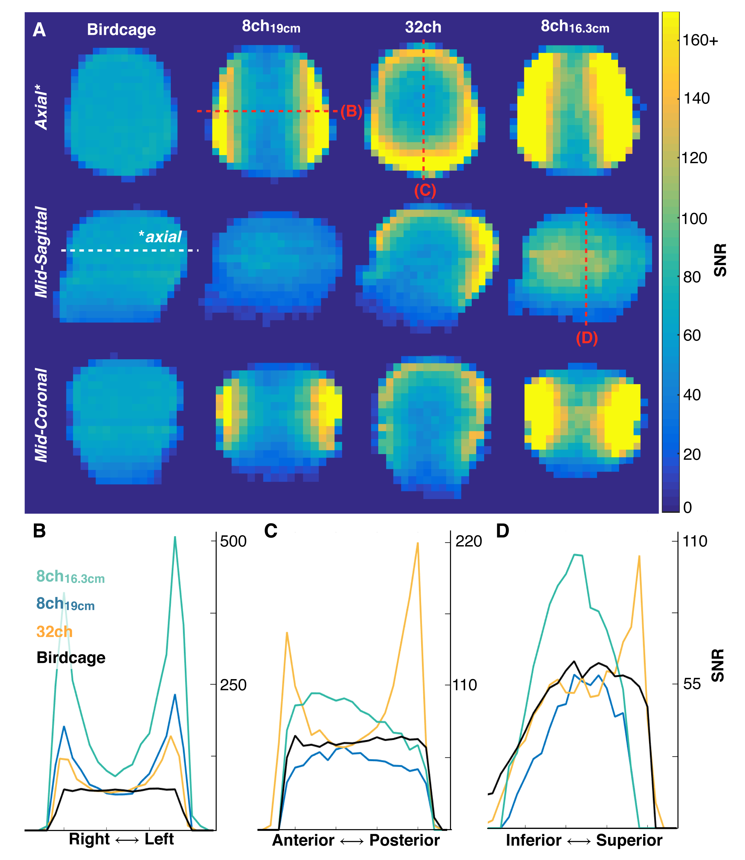 Phantom SNR images and line profiles